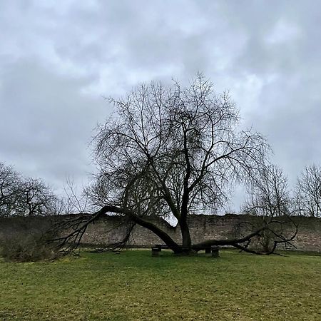 Delux Ferienwohnung Kunstgalerie Und Ilmradweg Kranichfeld Buitenkant foto