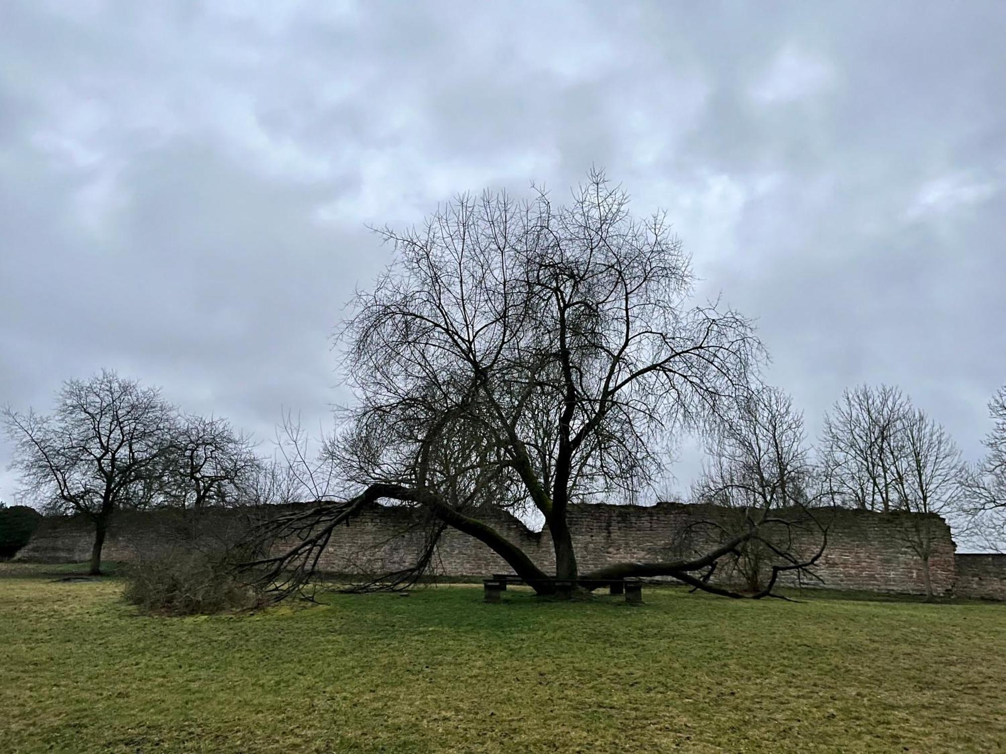 Delux Ferienwohnung Kunstgalerie Und Ilmradweg Kranichfeld Buitenkant foto