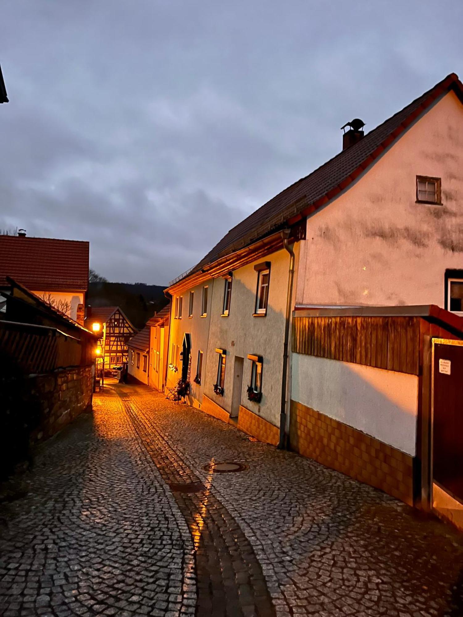 Delux Ferienwohnung Kunstgalerie Und Ilmradweg Kranichfeld Buitenkant foto